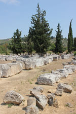 Nemea Korinthe | Peloponessos | Griekenland foto 19 - Foto van Marcel Fens