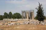 GriechenlandWeb Nemea Korinthe | Peloponessos | Griechenland foto 24 - Foto Marcel Fens