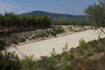 GriechenlandWeb Nemea Korinthe | Peloponessos | Griechenland foto 39 - Foto Marcel Fens