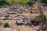 Vulkaan Nisyros - Dodecanese foto 4 - Foto van De Griekse Gids