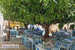 Marpissa Paros - Cycladen Griekenland  - Foto van De Griekse Gids