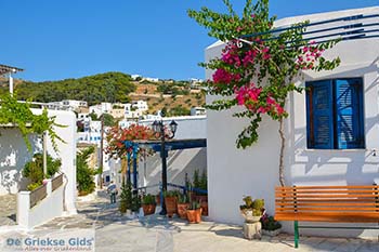 Lefkes Paros - Cycladen -  Foto 46 - Foto van https://www.grieksegids.nl/fotos/paros/lefkes/350pix/lefkes-paros-046.jpg