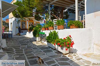 Lefkes Paros - Cycladen -  Foto 56 - Foto van https://www.grieksegids.nl/fotos/paros/lefkes/350pix/lefkes-paros-056.jpg