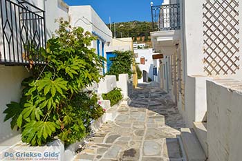 Lefkes Paros - Cycladen -  Foto 64 - Foto van https://www.grieksegids.nl/fotos/paros/lefkes/350pix/lefkes-paros-064.jpg