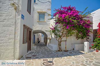 Parikia Paros - Cycladen -  Foto 51 - Foto van https://www.grieksegids.nl/fotos/paros/parikia/350pix/parikia-paros-051.jpg