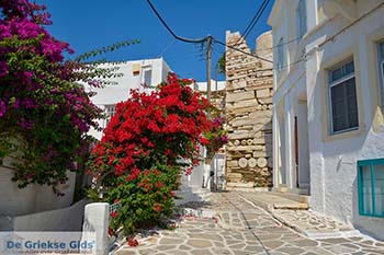 Parikia Paros - Cycladen -  Foto 52 - Foto van https://www.grieksegids.nl/fotos/paros/parikia/350pix/parikia-paros-052.jpg