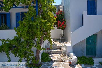 Parikia Paros - Cycladen -  Foto 69 - Foto van https://www.grieksegids.nl/fotos/paros/parikia/350pix/parikia-paros-069.jpg