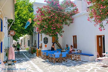 Parikia Paros - Cycladen -  Foto 79 - Foto van https://www.grieksegids.nl/fotos/paros/parikia/350pix/parikia-paros-079.jpg