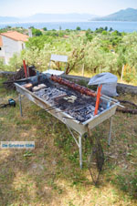 GriechenlandWeb.de Aedipsos Euboea - Foto GriechenlandWeb.de