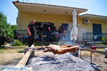 GriechenlandWeb Aedipsos Euboea - Foto GriechenlandWeb.de