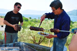 GriechenlandWeb Aedipsos Euboea - Foto GriechenlandWeb.de