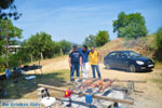 GriechenlandWeb.de Aedipsos Euboea - Foto GriechenlandWeb.de