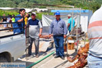 GriechenlandWeb Aedipsos Euboea - Foto GriechenlandWeb.de