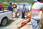 GriechenlandWeb Aedipsos Euboea - Foto GriechenlandWeb.de