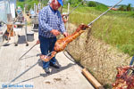 GriechenlandWeb.de Aedipsos Euboea - Foto GriechenlandWeb.de