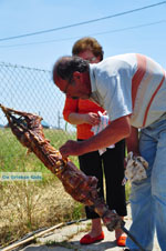 GriechenlandWeb.de Aedipsos Euboea - Foto GriechenlandWeb.de