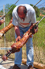 GriechenlandWeb.de Aedipsos Euboea - Foto GriechenlandWeb.de