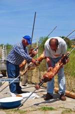 GriechenlandWeb.de Aedipsos Euboea - Foto GriechenlandWeb.de