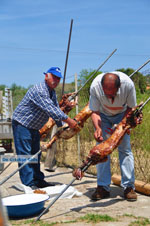 GriechenlandWeb.de Aedipsos Euboea - Foto GriechenlandWeb.de
