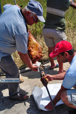 GriechenlandWeb.de Aedipsos Euboea - Foto GriechenlandWeb.de