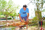 GriechenlandWeb.de Aedipsos Euboea - Foto GriechenlandWeb.de