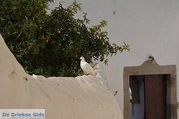 Chora - Eiland Patmos - Griekse Gids Foto 41 - Foto van https://www.grieksegids.nl/fotos/patmos/chora-patmos/normaal/chora-patmos-041.jpg