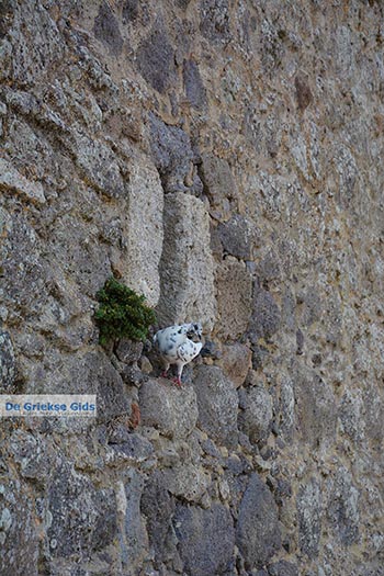 Chora - Eiland Patmos - Griekse Gids Foto 65 - Foto van https://www.grieksegids.nl/fotos/patmos/chora-patmos/normaal/chora-patmos-065.jpg