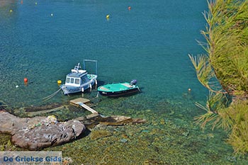 Kampos - Eiland Patmos - Griekse Gids Foto 21 - Foto van https://www.grieksegids.nl/fotos/patmos/kampos-patmos/normaal/kampos-patmos-021.jpg