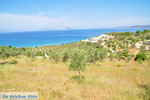 GriechenlandWeb Koilada (Kilada) | Argolis Peloponessos | Griechenland foto 17 - Foto GriechenlandWeb.de