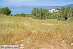 Koilada (Kilada) | Argolis Peloponessos | Griechenland foto 23 - Foto GriechenlandWeb.de
