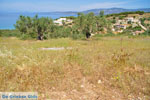 Koilada (Kilada) | Argolis Peloponessos | Griechenland foto 24 - Foto GriechenlandWeb.de