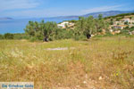 Koilada (Kilada) | Argolis Peloponessos | Griechenland foto 25 - Foto GriechenlandWeb.de