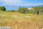 Koilada (Kilada) | Argolis Peloponessos | Griechenland foto 26 - Foto GriechenlandWeb.de