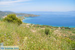 Bij oud Epidavros | Argolis Peloponessos | Griekenland foto 8 - Foto van De Griekse Gids