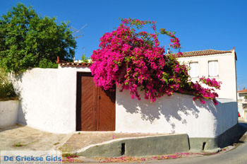 Kranidi | Argolis Peloponessos | Griekenland foto 8 - Foto van https://www.grieksegids.nl/fotos/pelopon/argolis/normaal/argolis-grieksegids-021.jpg