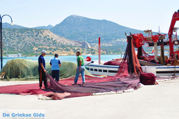 Koilada (Kilada) | Argolis Peloponessos | Griekenland foto 34 - Foto van https://www.grieksegids.nl/fotos/pelopon/argolis/normaal/argolis-grieksegids-075.jpg