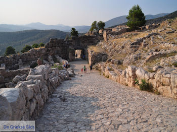 Mycene Argolis foto 6 - Foto van https://www.grieksegids.nl/fotos/pelopon/mycene/350px/mycene-argolis-peloponessos-006.jpg