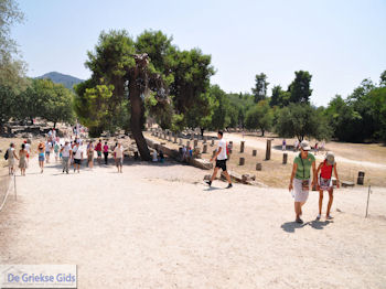 Olympia (Elia) Griekenland - De Griekse Gids - Foto 38 - Foto van https://www.grieksegids.nl/fotos/pelopon/olympia/350px/olympia-peloponessos-038.jpg