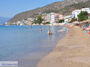 Tolo (Tolon) Argolis - Peloponessos Foto 4 - Foto van https://www.grieksegids.nl/fotos/pelopon/tolo/350px/tolo-argolis-peloponessos-004.jpg