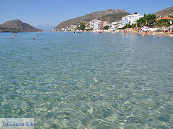 Tolo (Tolon) Argolis - Peloponessos Foto 18 - Foto van https://www.grieksegids.nl/fotos/pelopon/tolo/350px/tolo-argolis-peloponessos-018.jpg