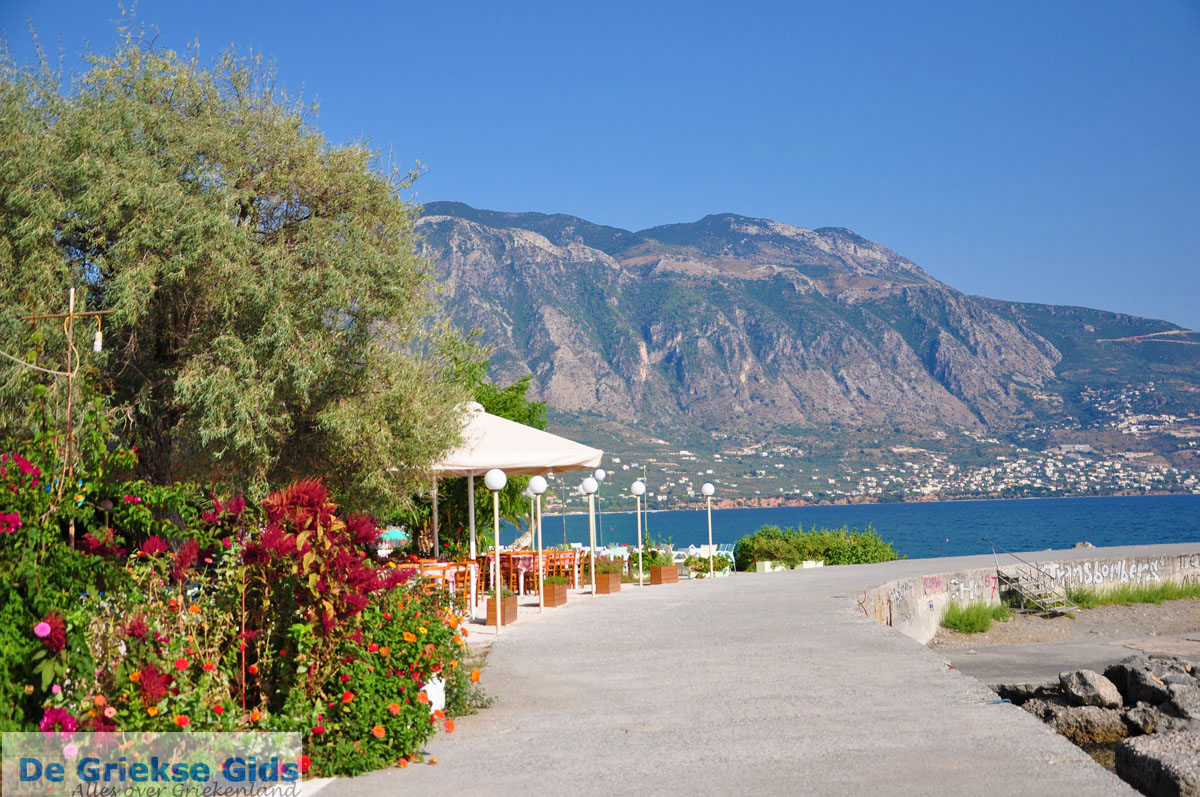 Kalamata Messenia | Holidays in Kalamata | Greece Guide