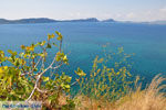 Pylos (Navarino) | Messinia Peloponnesos Griekenland 37 - Foto van De Griekse Gids