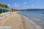 Gialova | Messinia Peloponnesos Griekenland 12 - Foto van De Griekse Gids