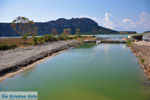 Gialova | Messinia Peloponnesos Griekenland 19 - Foto van De Griekse Gids