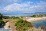 GriechenlandWeb Bij Gialova und Voidokilia | Messinia Peloponessos | Foto 9 - Foto GriechenlandWeb.de