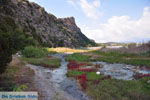 GriechenlandWeb Bij Gialova und Voidokilia | Messinia Peloponessos | Foto 11 - Foto GriechenlandWeb.de