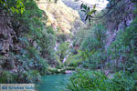 GriechenlandWeb Watervallen Polilimnio | Messinia Peloponessos | Foto 22 - Foto GriechenlandWeb.de