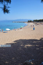 Kyparissia | Messinia Peloponnesos Griekenland 10 - Foto van De Griekse Gids