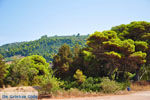 Agiannakis strand | Messinia Peloponnesos Griekenland 1 - Foto van De Griekse Gids