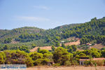 Agiannakis strand | Messinia Peloponnesos Griekenland 4 - Foto van De Griekse Gids